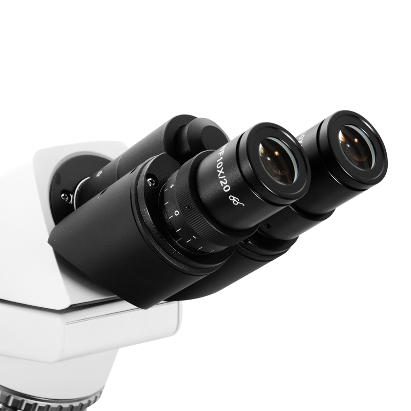 Biological Microscope